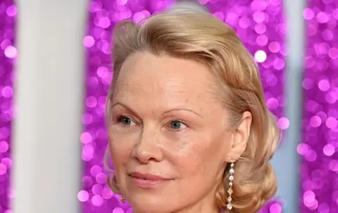Pamela Anderson ‘Outshines’ Arch Rival Meghan Markle in Lifestyle Branding