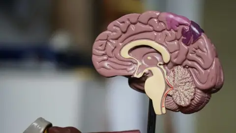 Here’s How Your Brain Orchestrates the Magic of Talking