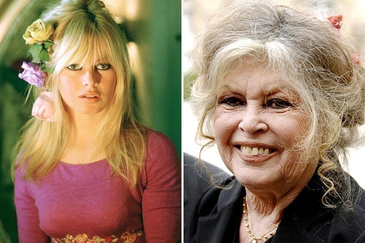 Brigitte Bardot  – Luta contra o câncer